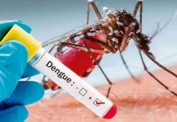 Santander supera 10.000 casos de dengue y es el departamento  más afectado del país