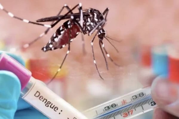 Floridablanca en alerta tras muerte de una niña y dos posibles contagios por dengue