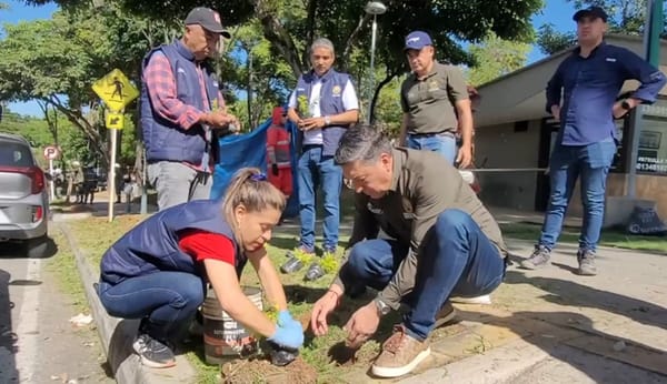 Ayude a las fábricas de agua y done árboles para reforestar a Santander