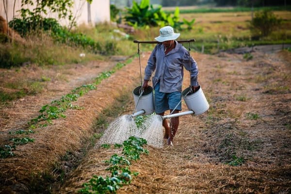 Salario del jornalero agropecuario será reglamentado por el Congreso