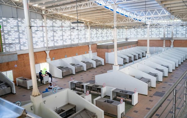 Reubicación de vendedores de pescado en Barrancabermeja imagen de la publicación