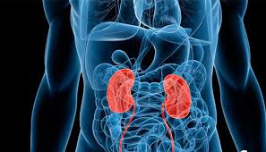 Enfermedad renal crónica en Colombia: una afección silenciosa que podría afectar a millones