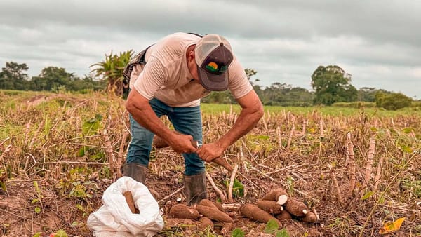 Quieren quitarle a la nación la herramienta clave para impulsar la Reforma Agraria: ministra de Agricultura imagen de la publicación