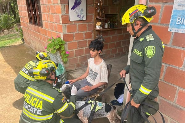 Despliegue humano y tecnológico permitio el rescate de un estudiante de la UIS extraviado en Santurbán imagen de la publicación