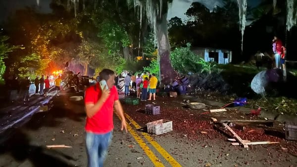 Camión cargado de mora sufrió volcamiento en la vía a Piedecuesta