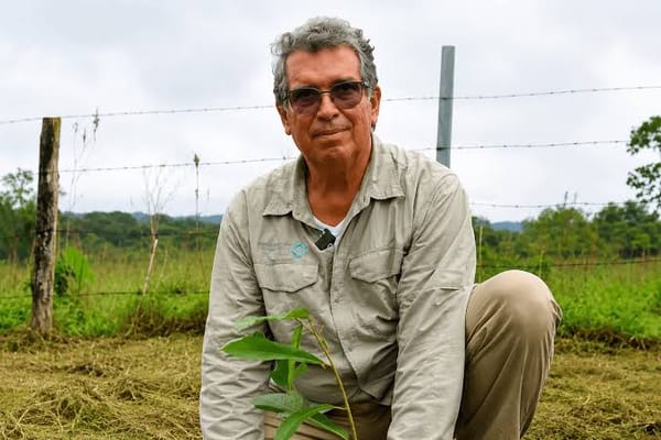 MinAmbiente se declara impedido para tratar los temas de Santurbán. ¿Cómo avanzará la delimitación de la Era Abelardo? Le contamos