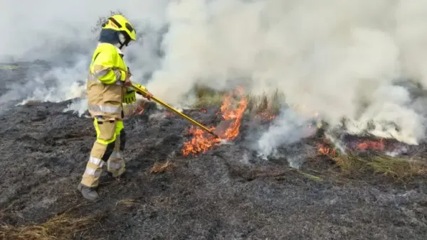 Consumidas por incendio forestal 10 hectáreas de vegetación en Puerto Parra, Santander