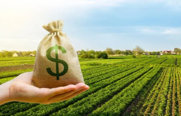 Gobierno reporta crecimiento del crédito agropecuario en un 33%