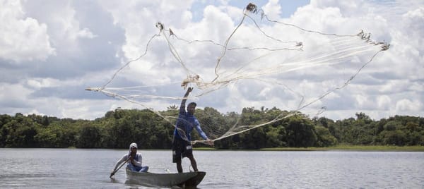 Bajo nivel de la ciénaga golpea a pescadores de Barrancabermeja