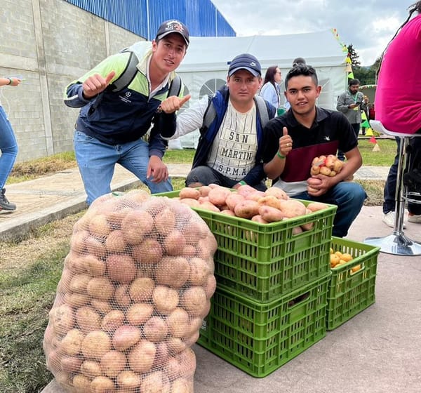 ¿Para dónde van los paperos en el gobierno de Abelardo? Esta es la hoja de ruta para el cuatrienio