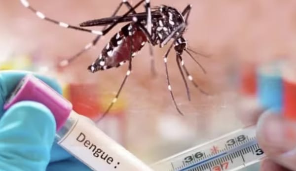 Reducción del dengue en Floridablanca en medio de constante alerta