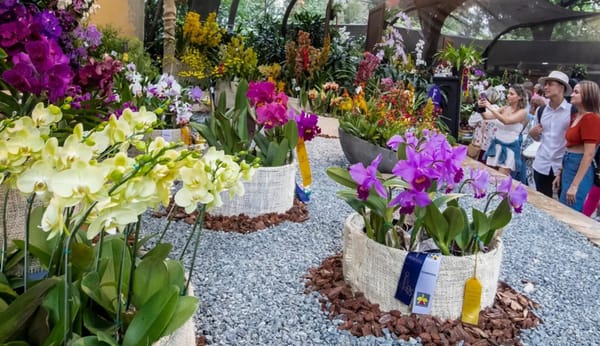 ‘La Ciudad Bonita’ abrió plazuela para la diversidad de las orquídeas