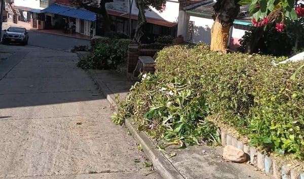 Le metieron escoba y podadora a zona verde de Floridablanca