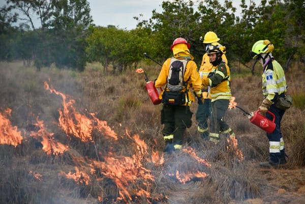 Incendios forestales: apagar el fuego no es recuperar el territorio