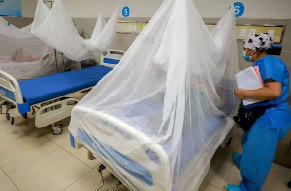 Bajan cifras de dengue en Santander aunque el número de contagios aún es demasiado alto