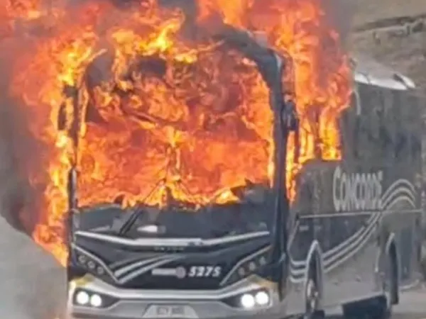 Incineran bus nuevo de Concorde en la vía entre Chitagá y Málaga: esto se sabe
