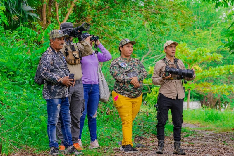 Aviturismo comunitario volando alto en Topocoro imagen de la publicación