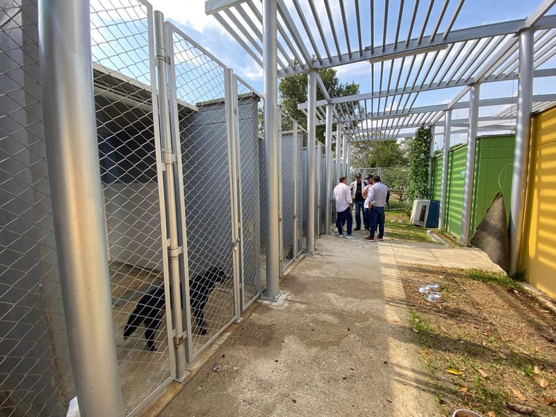 Investigan eutanasias ilegales practicadas en Bucaramanga imagen de la publicación