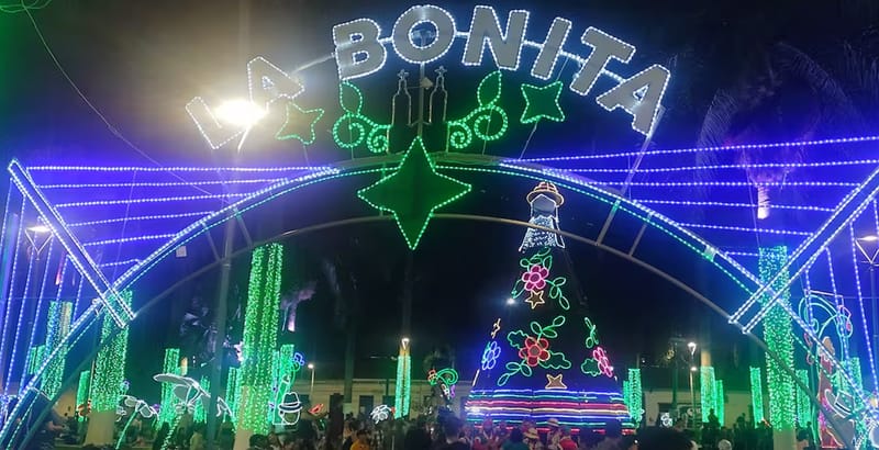 Concejal Cavanzo pide investigación sobre contrato del alumbrado navideño 2025 en Bucaramanga imagen de la publicación