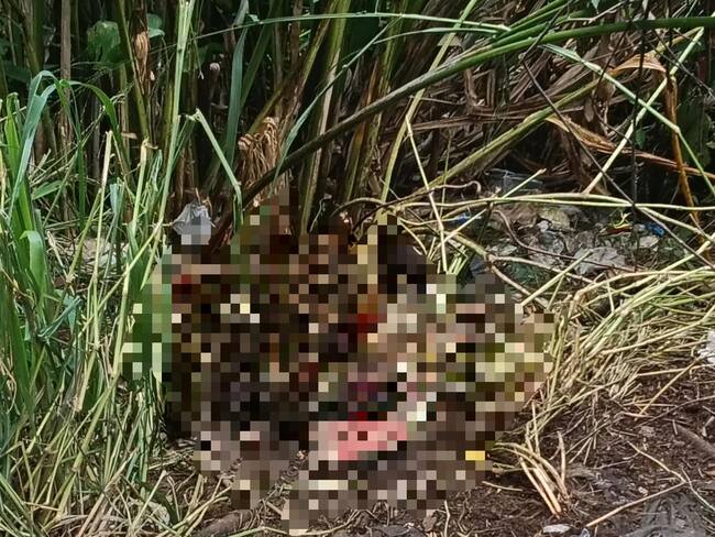 Macabro hallazgo en Floridablanca: cuerpo con múltiples puñaladas aparece en zona boscosa imagen de la publicación