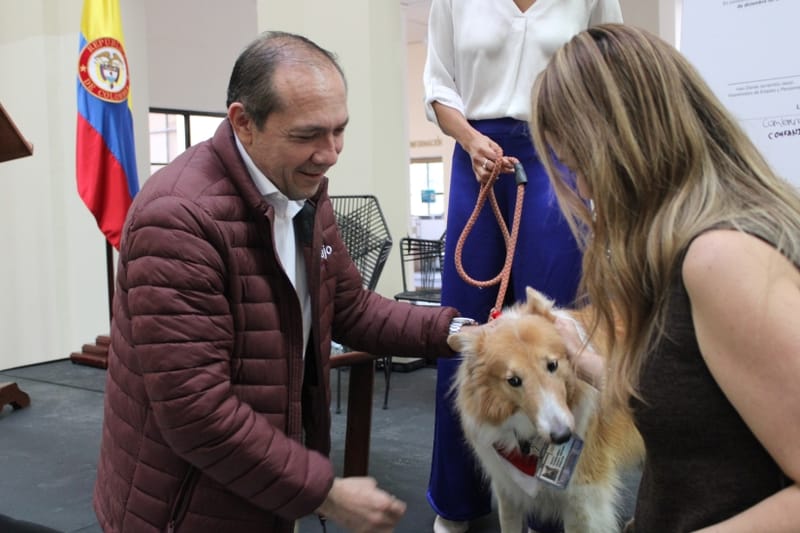 Cajas de compensación permitirán mascotas de soporte emocional a sus empleados imagen de la publicación
