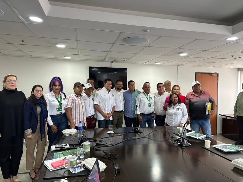 Diagnósticos preliminares tendrán compromiso de raudas soluciones imagen de la publicación