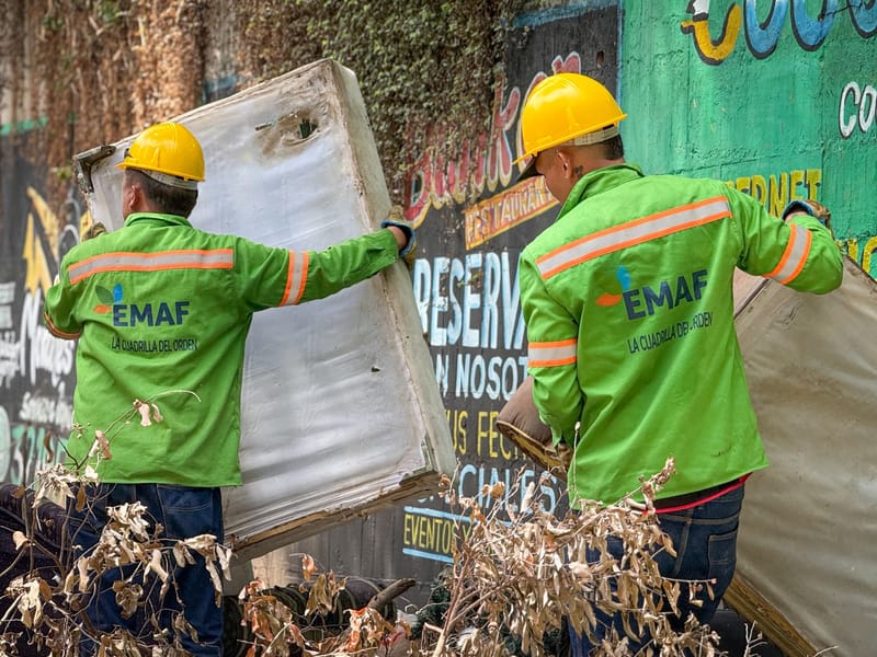 ‘Cuadrilla del Orden’ trabaja para erradicar ‘carrascos’ en la 'Ciudad Dulce' imagen de la publicación