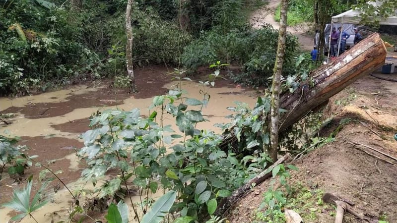 Lluvias de inicio de 2026 dejan graves afectaciones viales en Charta, Matanza y Suratá imagen de la publicación