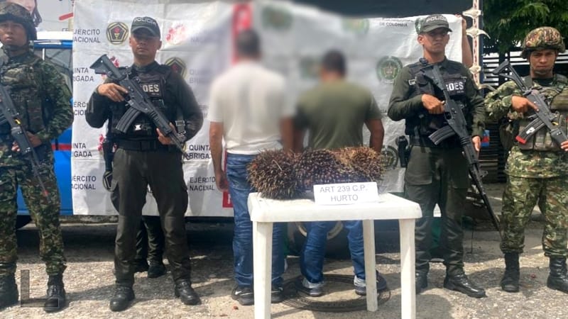 Dos hombres fueron capturados por hurto de fruto de palma en zona rural de Sabana de Torres imagen de la publicación