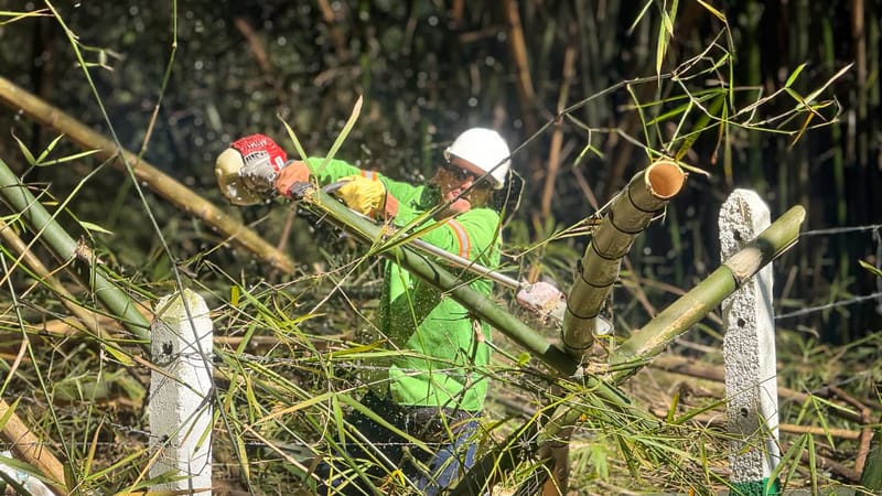Transversal Oriental recuperó condiciones de seguridad en Floridablanca imagen de la publicación