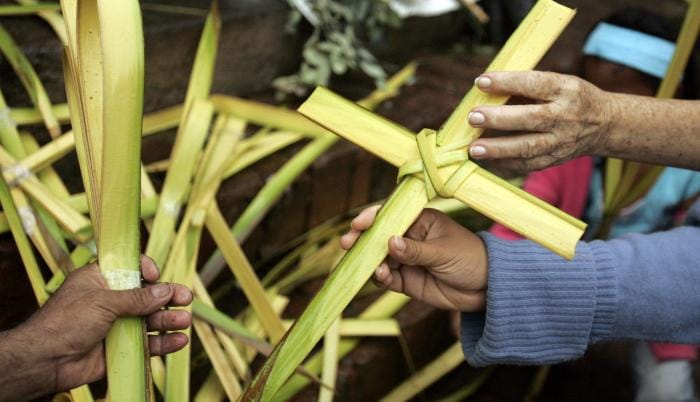 CDMB advierte prohibición del uso de especies vegetales en veda para Semana Santa imagen de la publicación