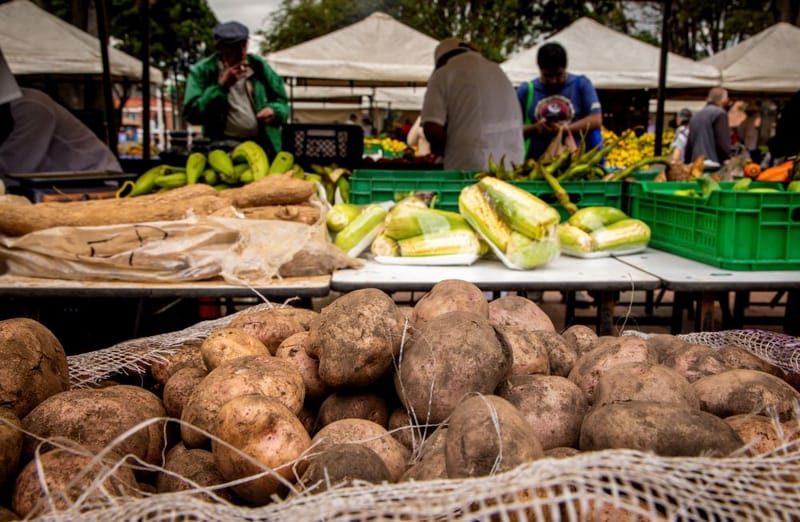 Venda sin intermediarios: inscríbase a la gran rueda de negocios imagen de la publicación