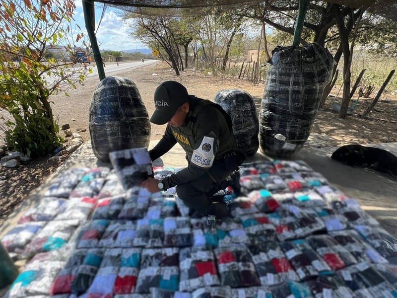 Decomisadas confecciones de contrabando ocultas en alimento para gatos imagen de la publicación