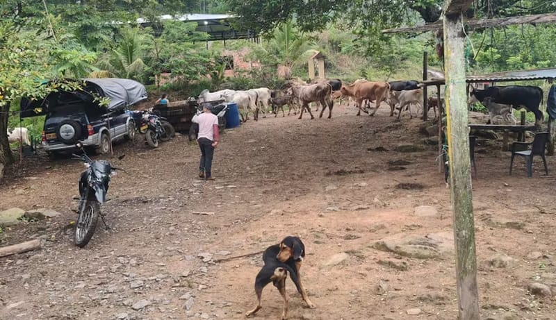 Corregimiento Plan de Armas de  Landázuri está hundiendose imagen de la publicación