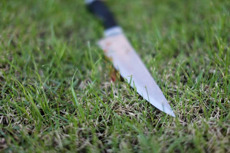 De la calle al hospital: riña dejó herido y desató caos en Suratá imagen de la publicación