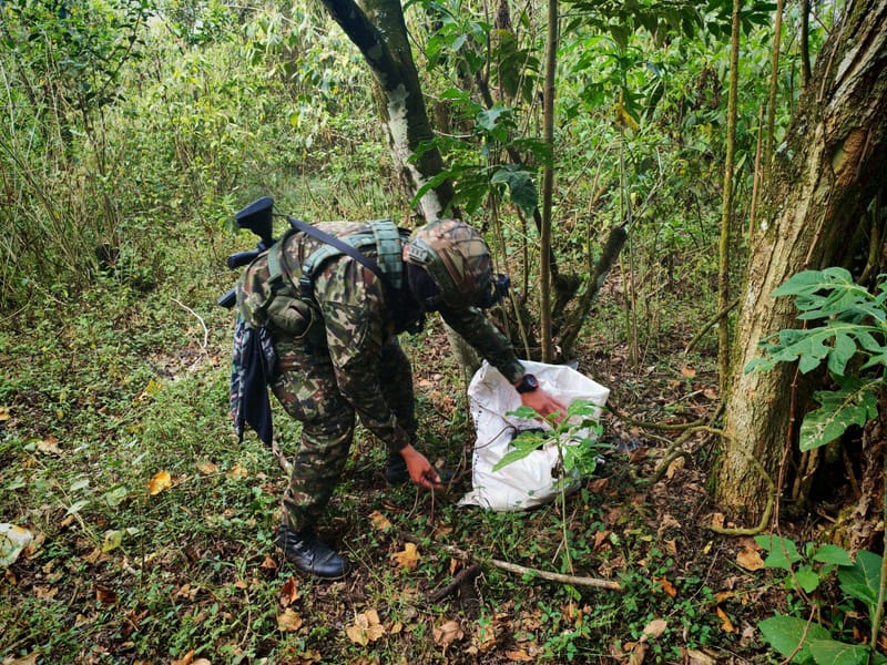 Ejército neutraliza poderoso arsenal de explosivos del ELN en Norte de Santander imagen de la publicación