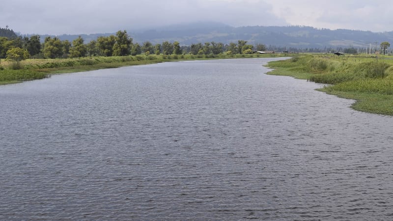 Río Suárez acabó con la ‘Ruta del Petróleo’ imagen de la publicación