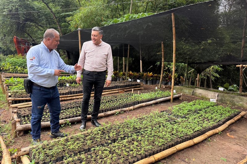 Creados viveros de especies nativas para reforestar a Santander imagen de la publicación