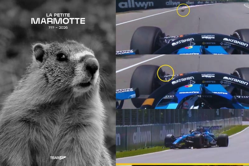 Una marmota provocó accidente de Alex Albon en la práctica libre del GP de Canadá de Fórmula 1 imagen de la publicación