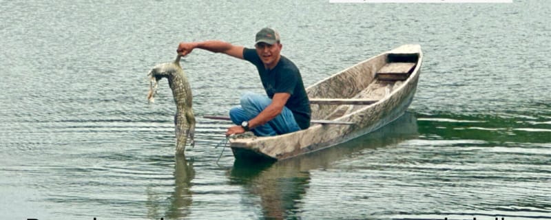 Alerta ambiental en Simití: masacre de caimanes y babillas pone en riesgo la ciénaga imagen de la publicación
